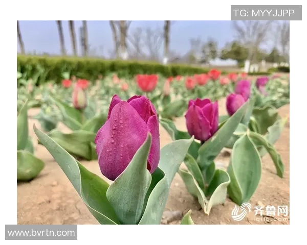 热烈祝贺,全运会冠军!威海南海水上运动练习结硕果
